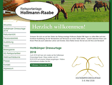 Tablet Screenshot of hollmann-raabe.de